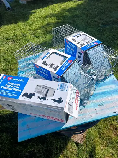 Pack of three Havahart live traps (3). Live trap, ideal for rabbit, skunk, racoon, critters, pack of...