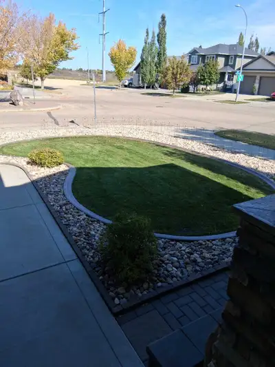 Approx 500 sq ft of quality sod. Will be removed with sod cutter so will be easy to relay. Must take...