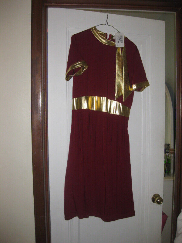 Red Wine / Gold Contrast Dress in Women's - Dresses & Skirts in Windsor Region - Image 3