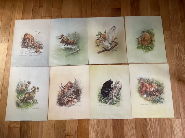 16 Wildlife Quaker Oats Collection by Artist Michael Dumas $200  in Arts & Collectibles in Trenton - Image 2