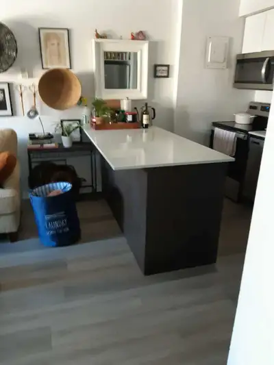 This one bedroom apartment is located in central Halifax. Close to universities, grocery stores, Hal...