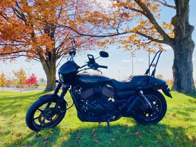 2015 Harley Davidson 750 Street  in Street, Cruisers & Choppers in Markham / York Region - Image 3