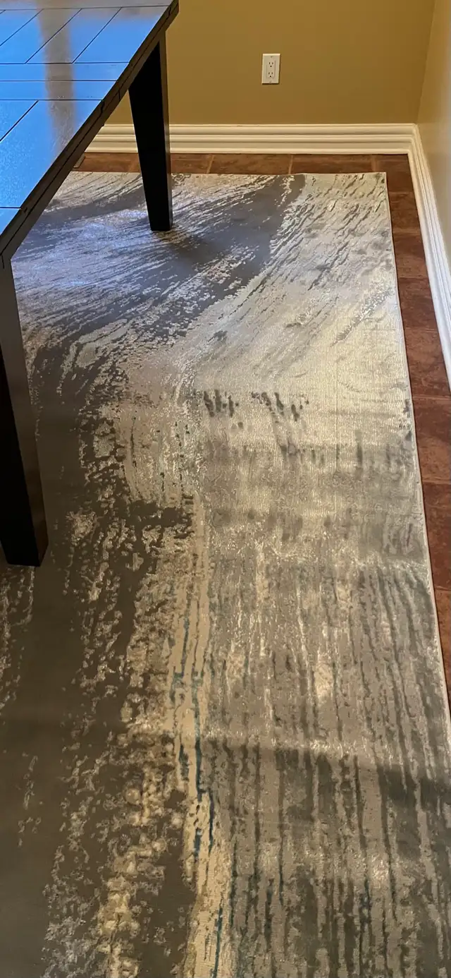 Large Area Rug -New in Rugs, Carpets & Runners in Ottawa - Image 4