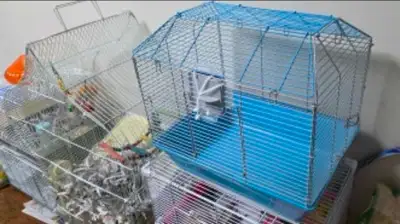 Hamster Cage 16" cage only $25, View more