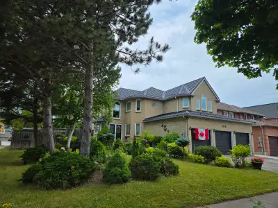 2 Bedroom Basement Apartment | Mississauga