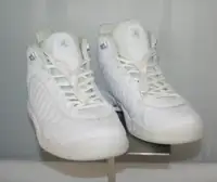 Nike Air Jordan Jumpman Pro Platinum White lace up sneakers SIZE