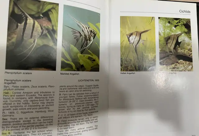 AQUARIUM ATLAS in Hobbies & Crafts in Laval / North Shore - Image 9