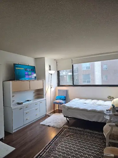 Room for Rent – Ideal for Medical Professional | Yorkville Area Looking for a working professional (...