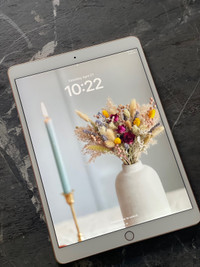 Apple iPad Air 64GB (3rd Generation)  - Rose Gold 