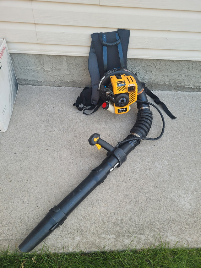 Cub Cadet leaf blower Lawnmowers & Leaf Blowers Calgary Kijiji