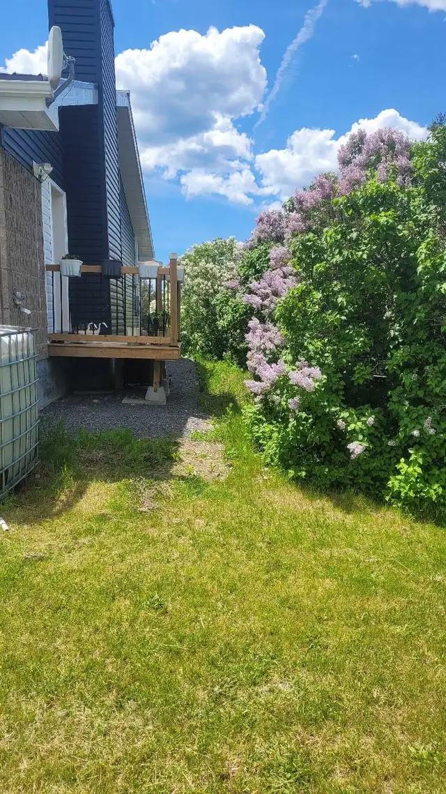 2 bedrooms apartment for rent 
