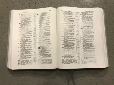 Free Bible Study, View more