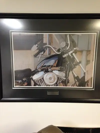 Limited edition lithographs  for sale motivated to sell, View more