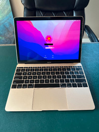 MacBook 12" Gold