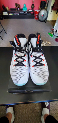 Size 13 LeBron James Pure Platinum 
CHECK OUT MY OTHER POSTS