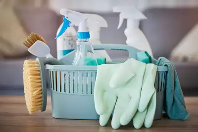 Are you looking for someone to clean your house? Have you been wanting to clean your house and wishi...