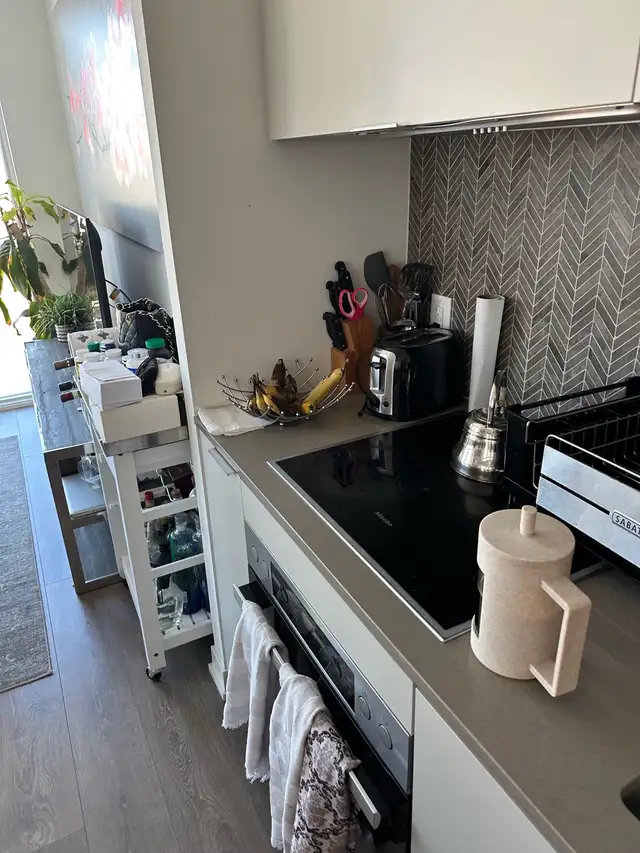 cleaning Services 65619850699011122
