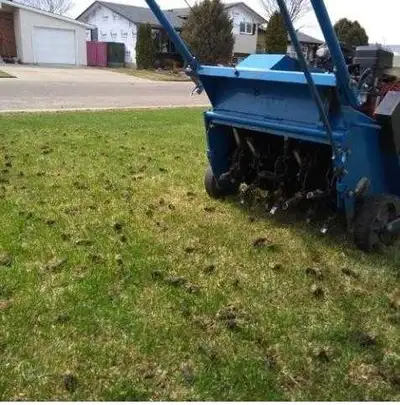 Aerating - West & Central Edmonton, View more