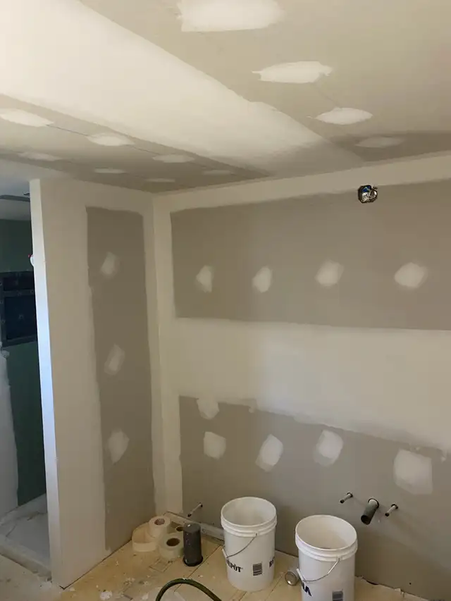 Professional Drywaller524412500721674244