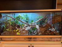 PVC Reptile Enclosure w/ Ball Python Included