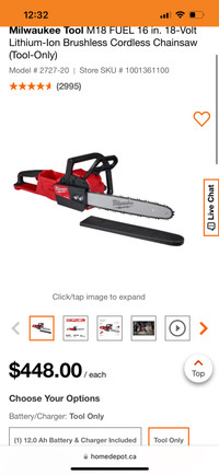 Milwaukee chain saw