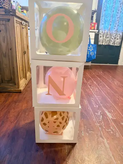 $70 OBO Wild One Birthday party decorations. Not sure how much is left in the helium tank but there...