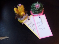 Mini cacti succulents Perfect Mother's Day gift