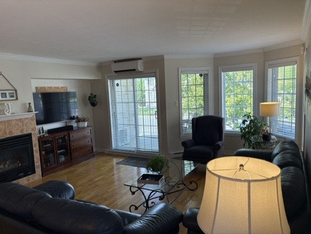 Beautiful Condo for Rent — photo 3