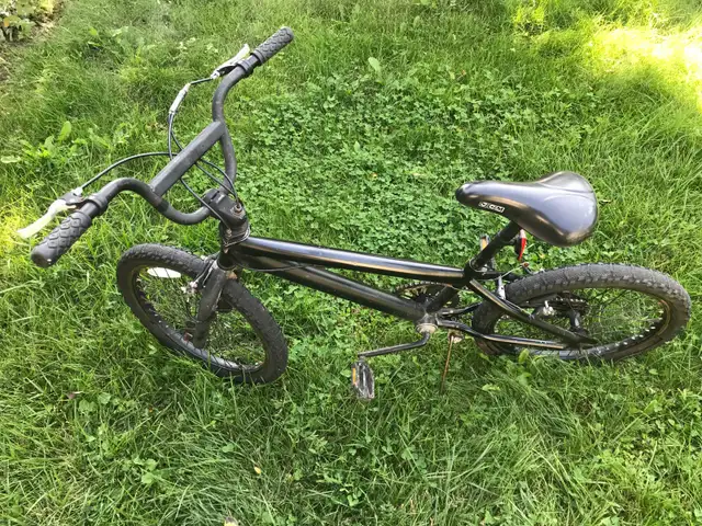 Kids bicycle 20 in Kids in Mississauga / Peel Region - Image 3