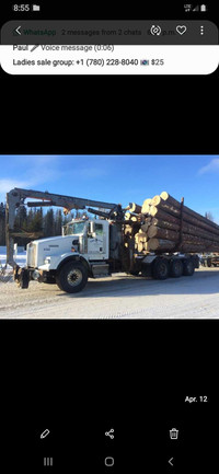 Self Loading log truck 