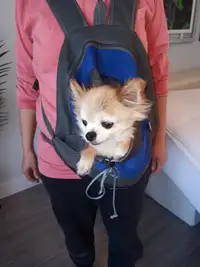 Sac de transport pour petit chien
