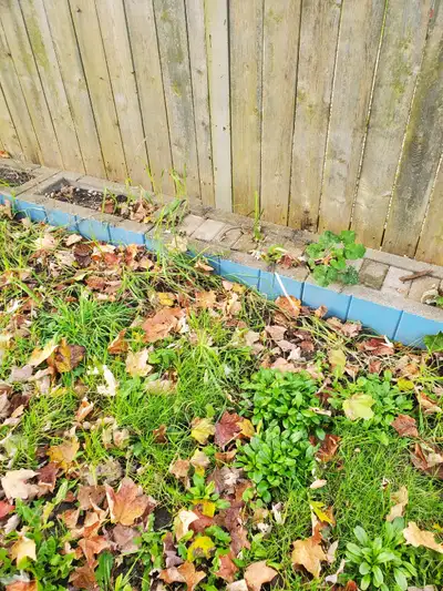 Cement blocks , View more