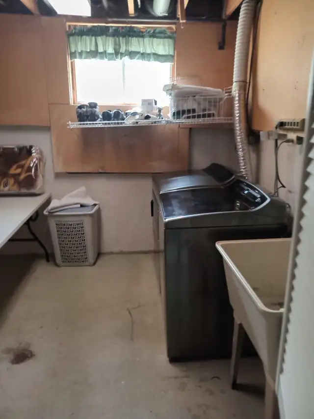 professional homecare worker and house cleaner