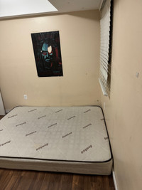 Room for couple or 2 girls or 1 female