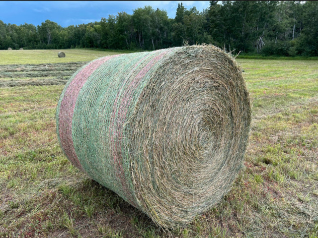 Hay for sale in Other in Swift Current - Image 2