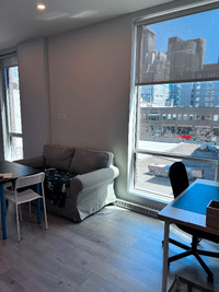 Sublet 2 bed 1 bath Downtown