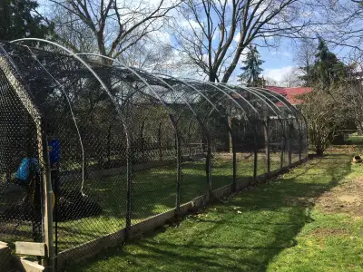 Backyard Sports Arena For Sale — $2,250 (20×40 - height 18 feet (two- inch steel structure!) Turn yo...