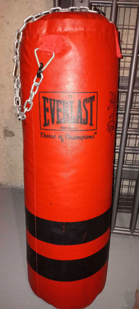 Everlast Boxing Punching Bag