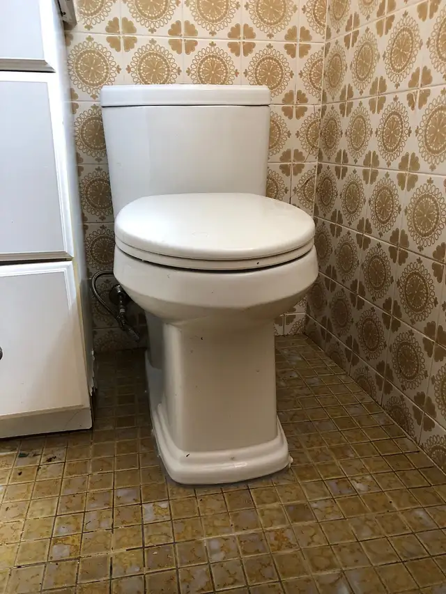 Licensed plumber65669422979969127