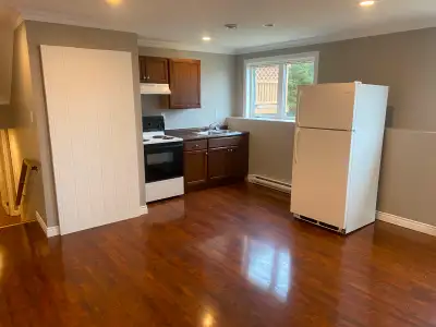 Apartment in a oceanside home in a quiet area off Marine Drive in Torbay. Large,Bright, Newly Renova...