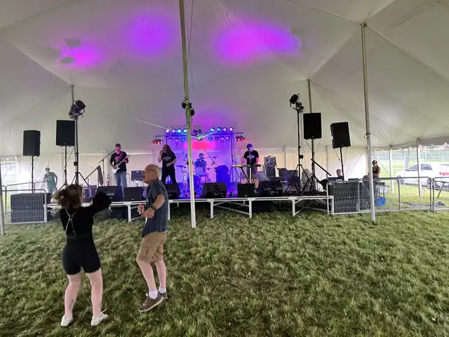 Band DJ wedding  lighting system$  in Performance & DJ Equipment in Kitchener / Waterloo - Image 5