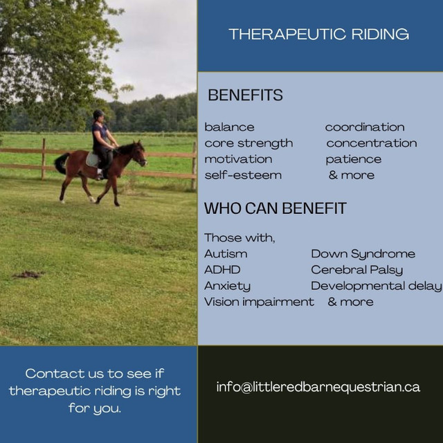 Therapeutic Riding in Equestrian & Livestock Accessories in Brantford