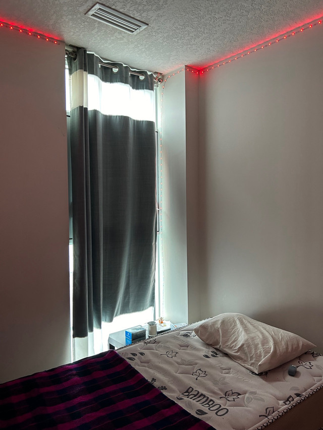 Looking for roommate - $460 in Room Rentals & Roommates in Kitchener / Waterloo - Image 2