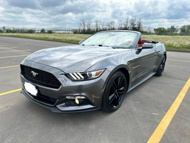 Ford Mustang Ecoboost Premium Convertible in Cars & Trucks in Ottawa - Image 2