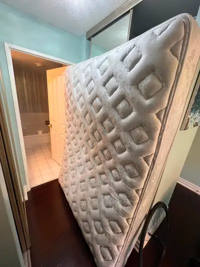 Queen Sears-Pedic Parklane Firm Independent-Coil Mattress, View more