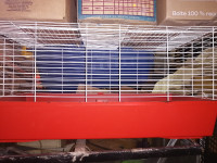 Guinea pig cages