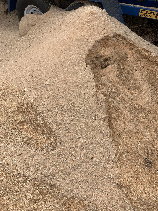 Sawdust/shavings in Plants, Fertilizer & Soil in Kawartha Lakes - Image 2