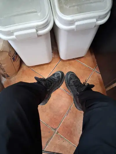 Driving from Hamilton to Montréal, View more