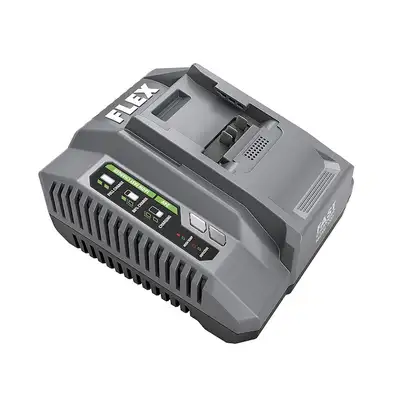 NEW Flex 24-V 160 W Fast Charger - Smart Charge Gauge, View more