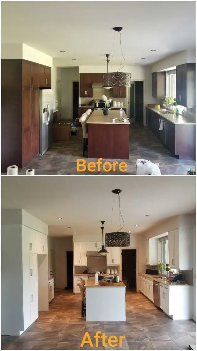 Professional Painter 482653092541911048